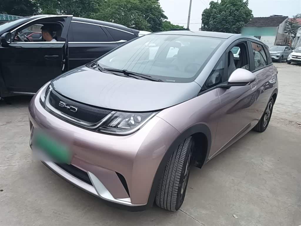 BYD Dolphin
