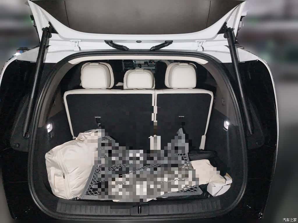 Li Auto MEGA, 2025 15