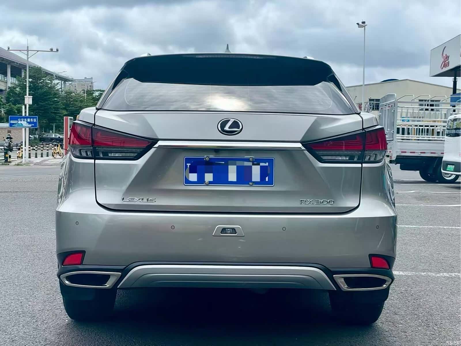 Lexus RX, 2021 все фото