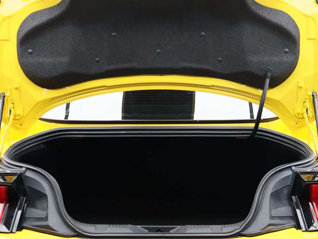 Ford Mustang, 2024 9