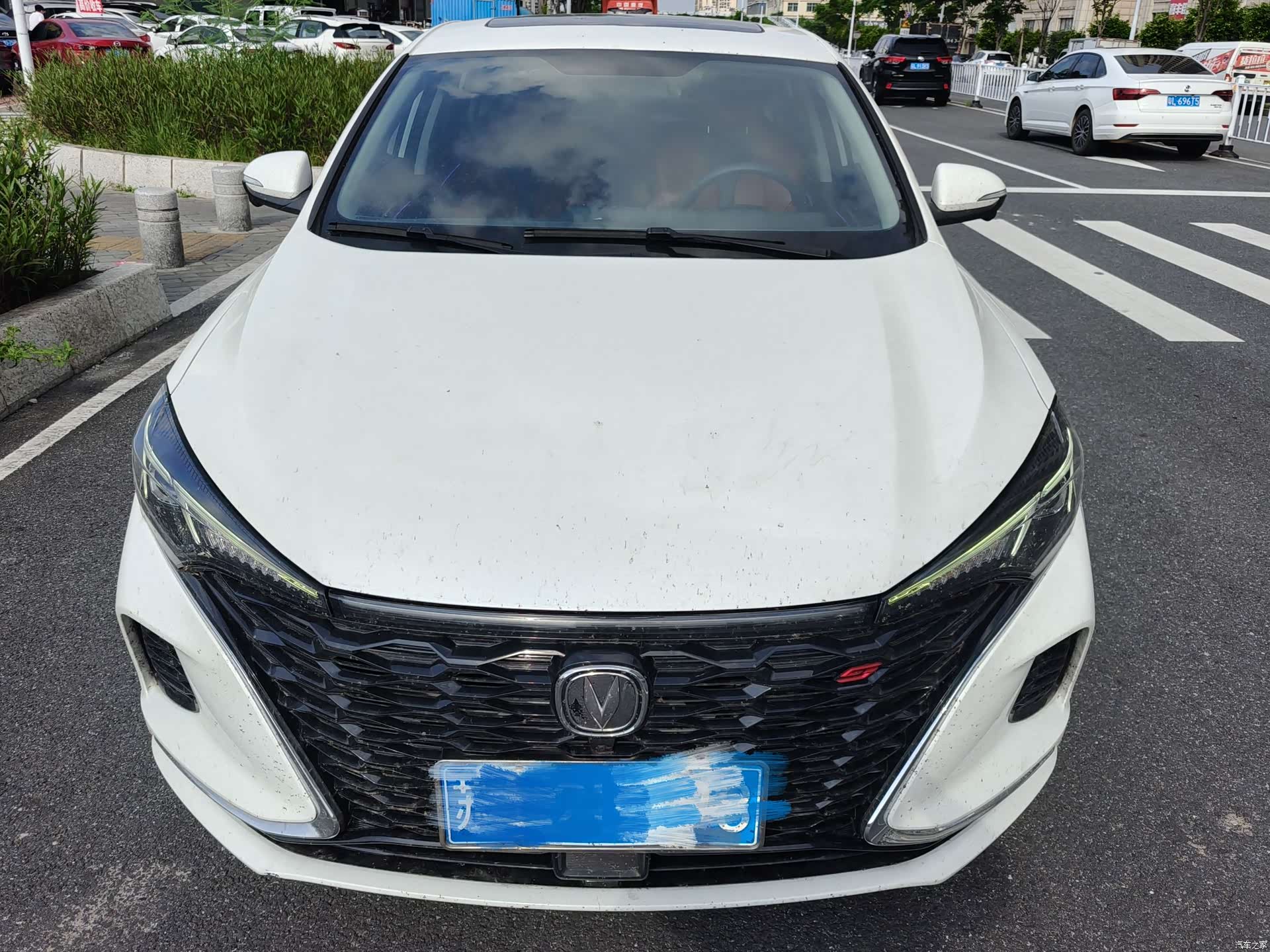 Changan Eado, 2022 2