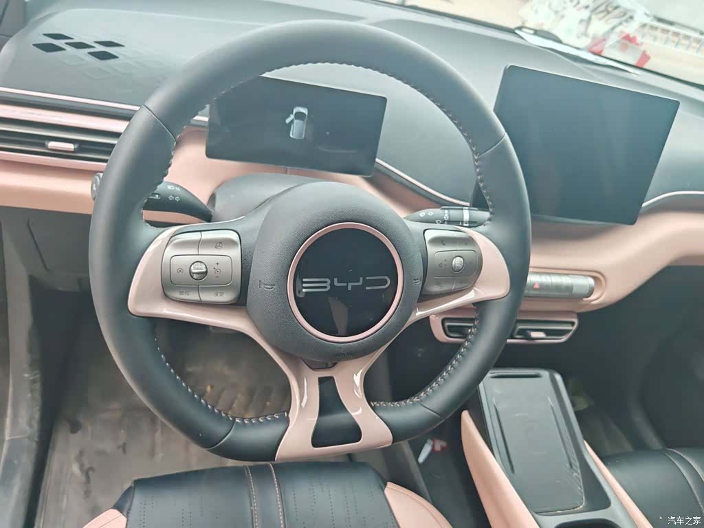 BYD Seagull, 2024 12