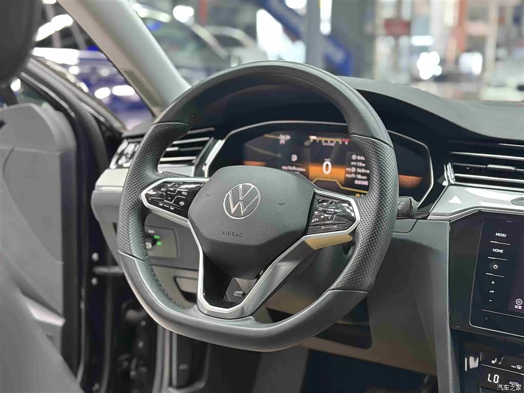 Volkswagen Magotan, 2024 11