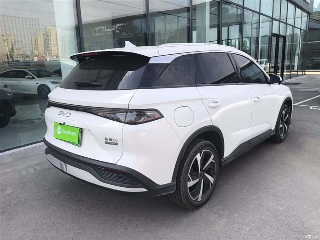 BYD HiAce, 2024 7
