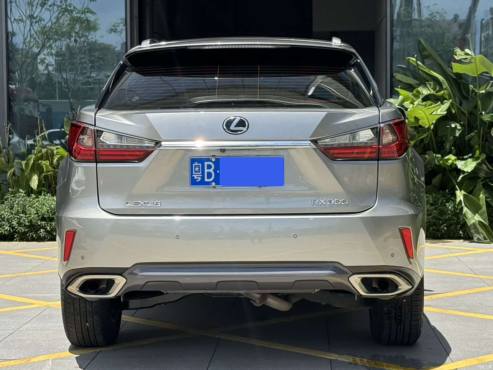 Lexus RX, 2019 8