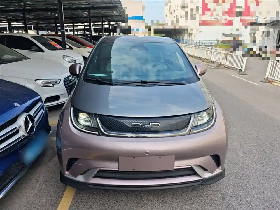 BYD dolphin