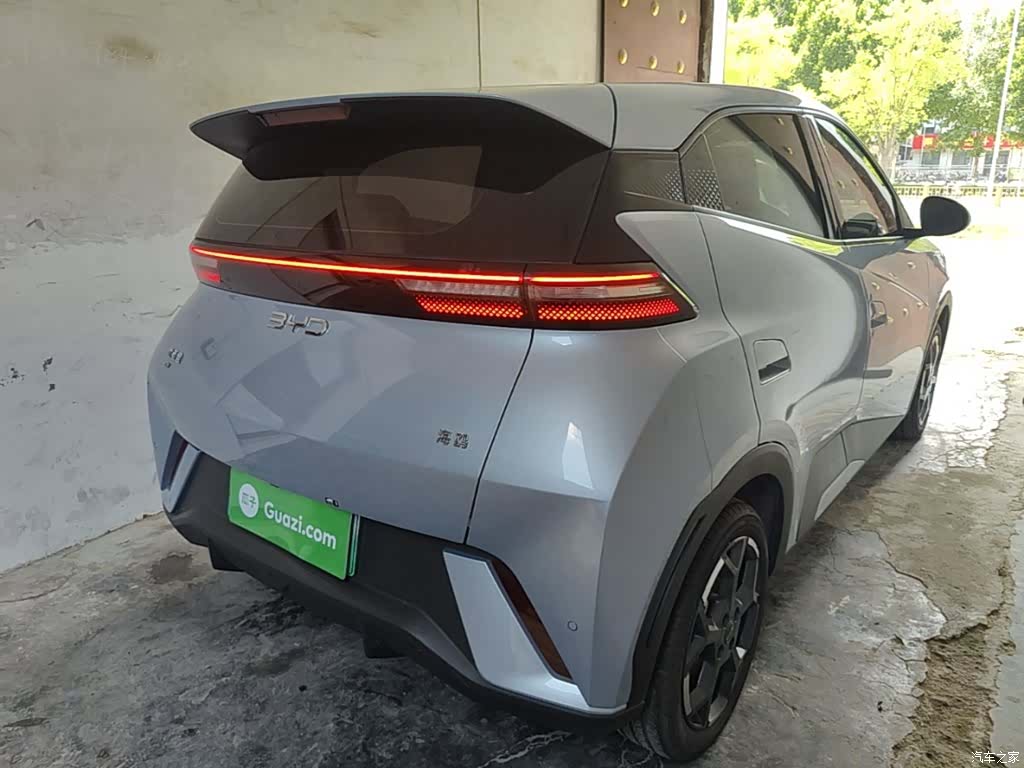 BYD Seagull, 2024 7