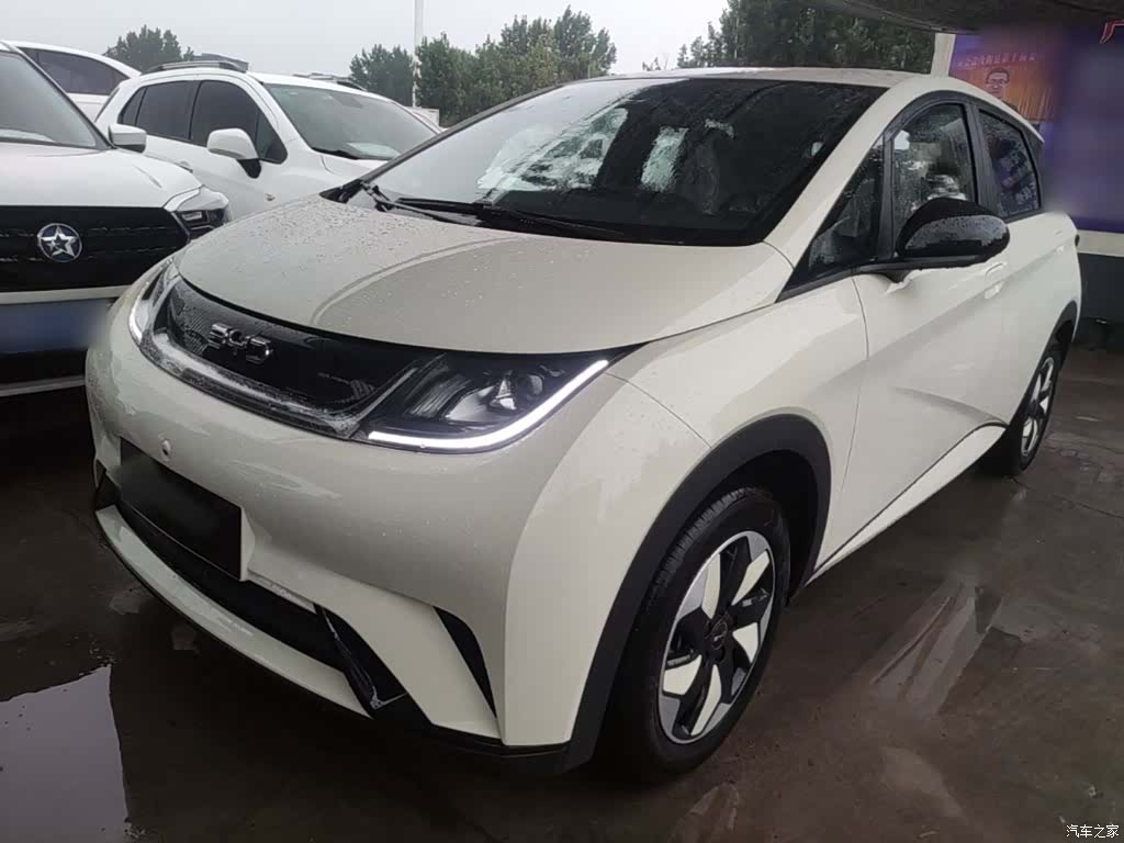 BYD Dolphin, 2026 2