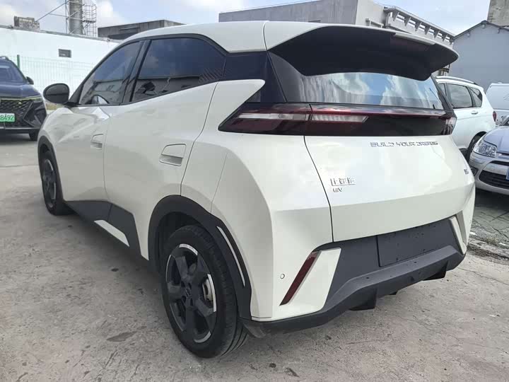BYD Seagull 2024 rong yao ban 305km huo li ban