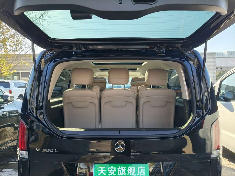 Mercedes-Benz V-class