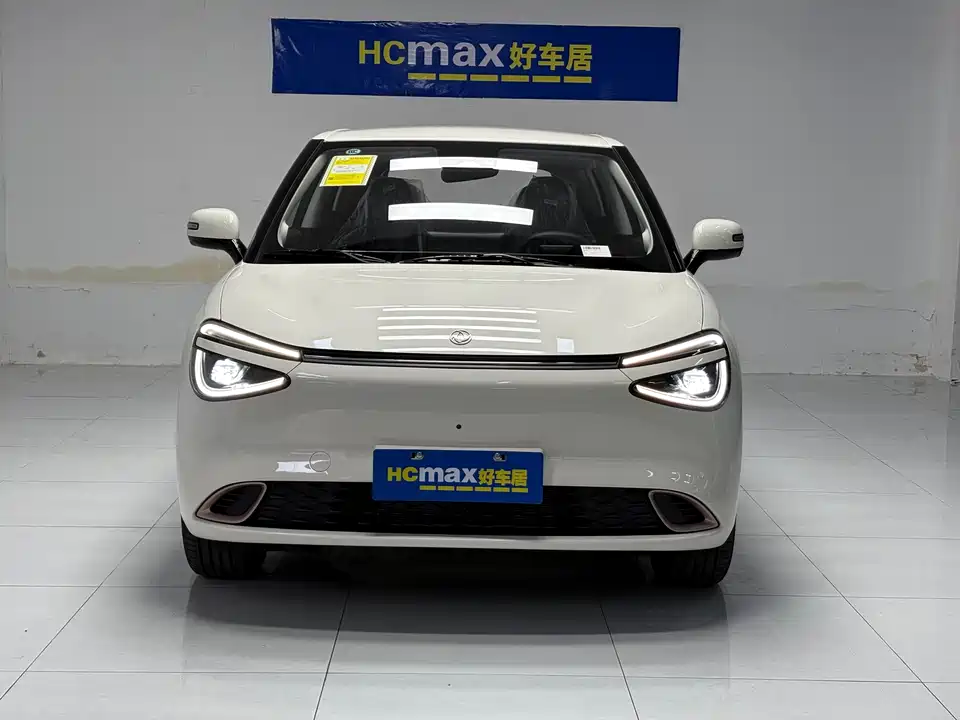 Dongfeng Nammi Nano 01