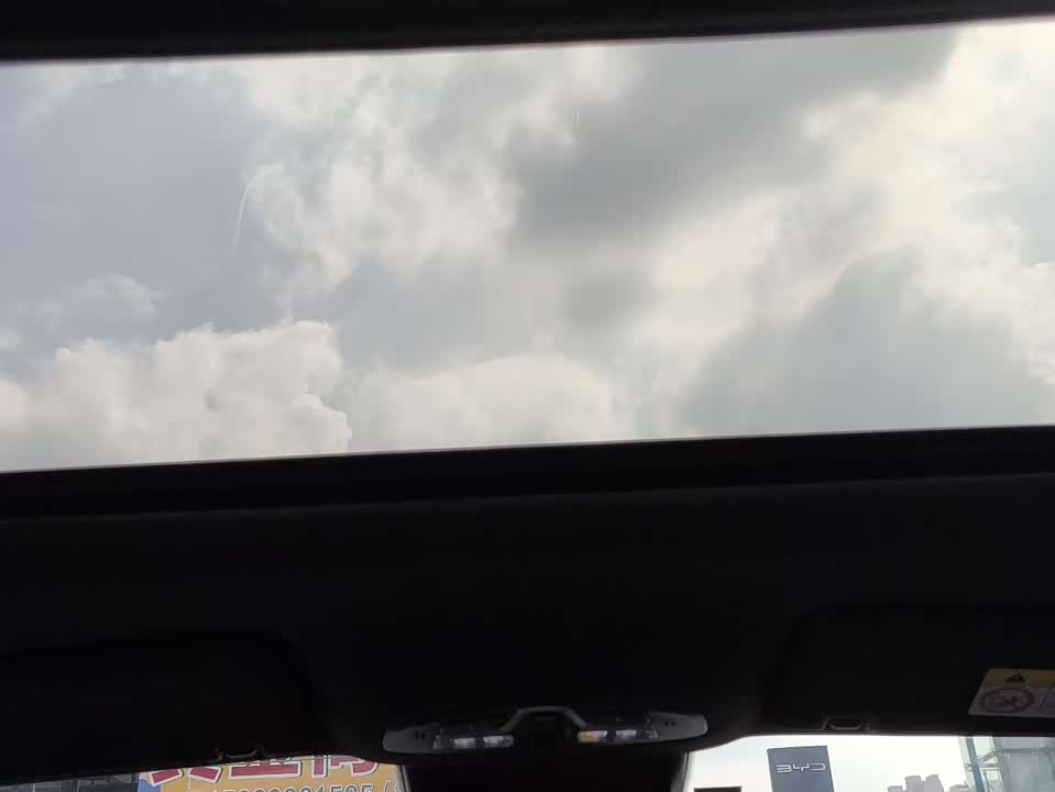 Trumpchi Shadow Leopard