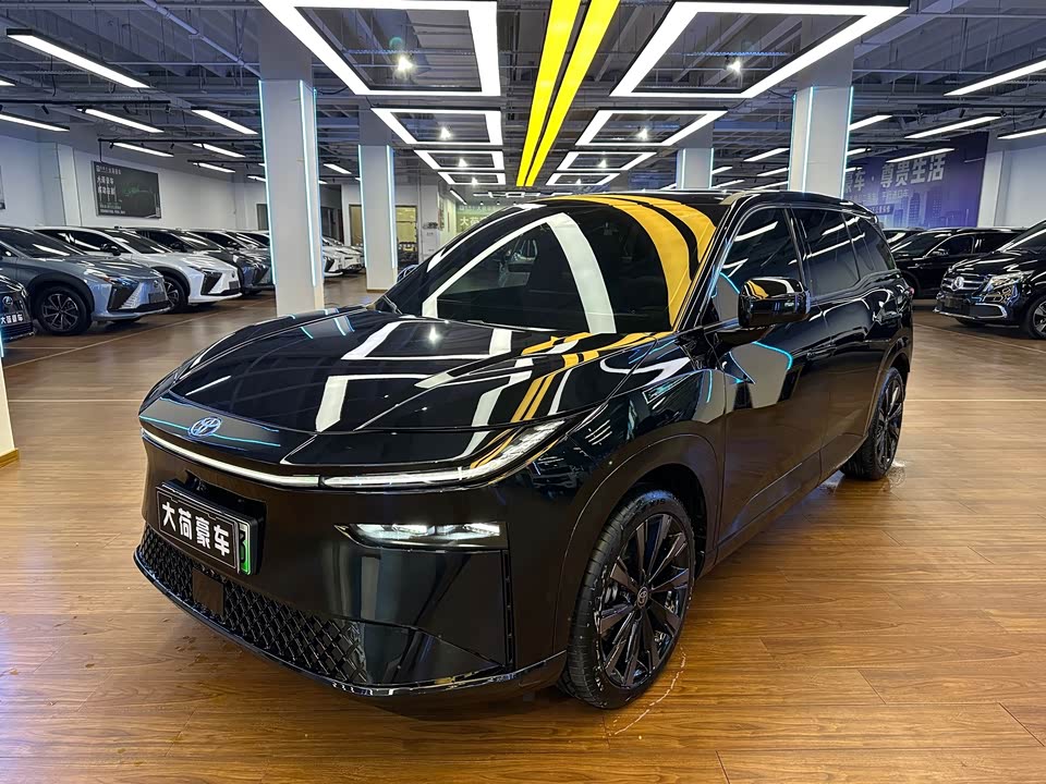 Toyota Platinum Wisdom 3X