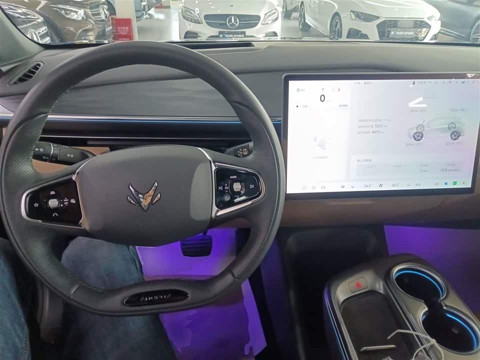 ARCFOX Polar Fox Alpha T5