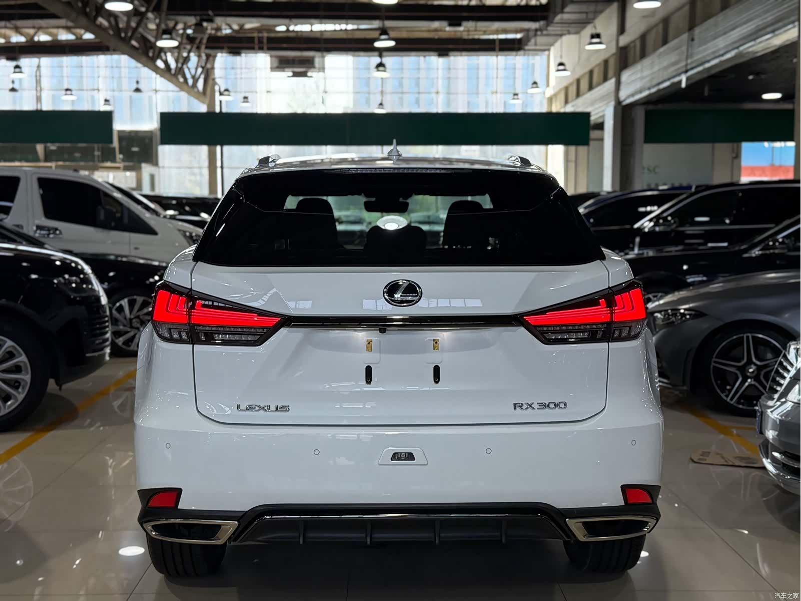 Lexus RX, 2020 19