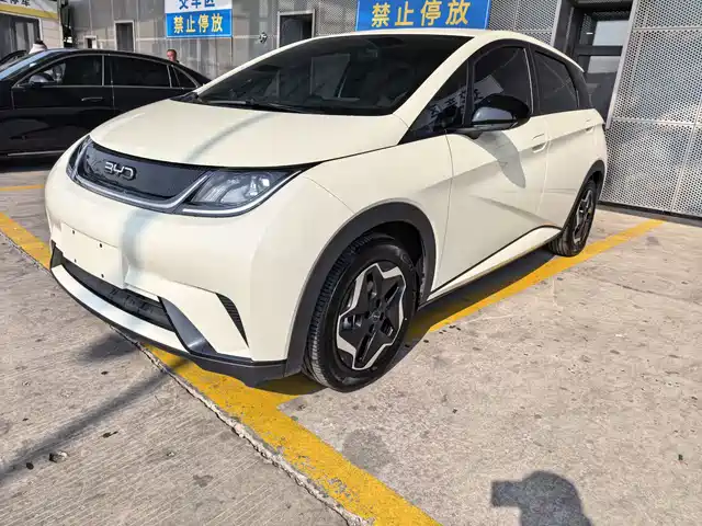 BYD Dolphin 2025 — купить из Китая под заказ