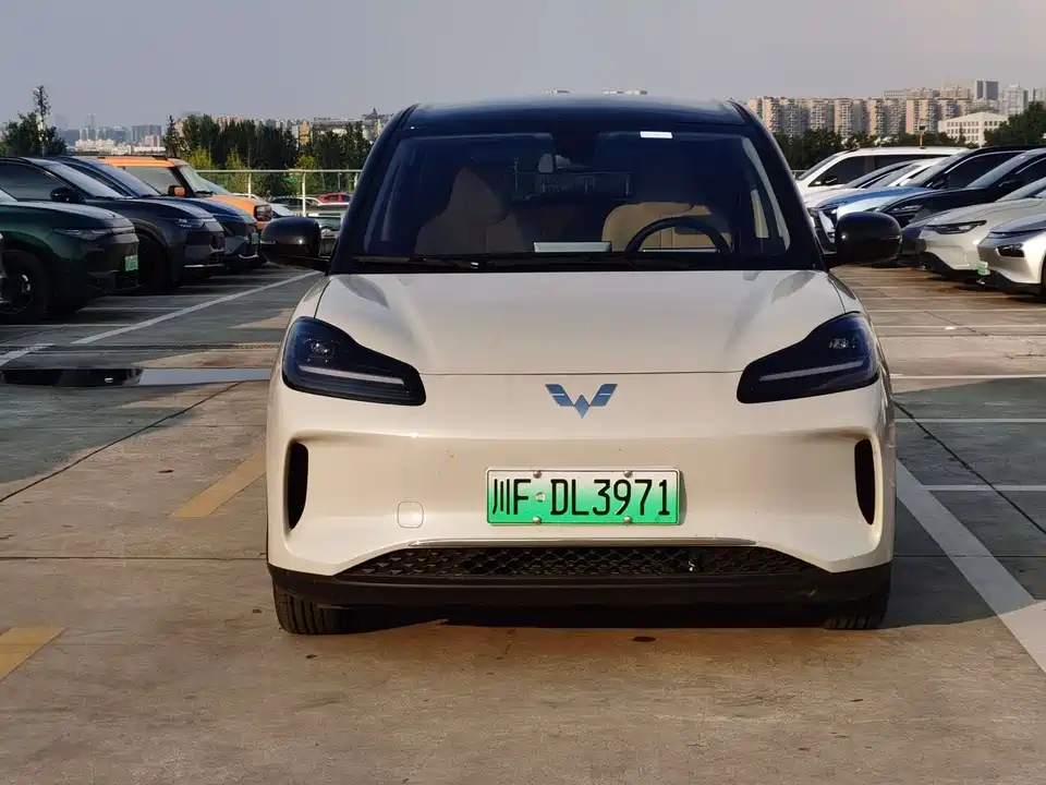 Wuling Wuling Bingguo PLUS