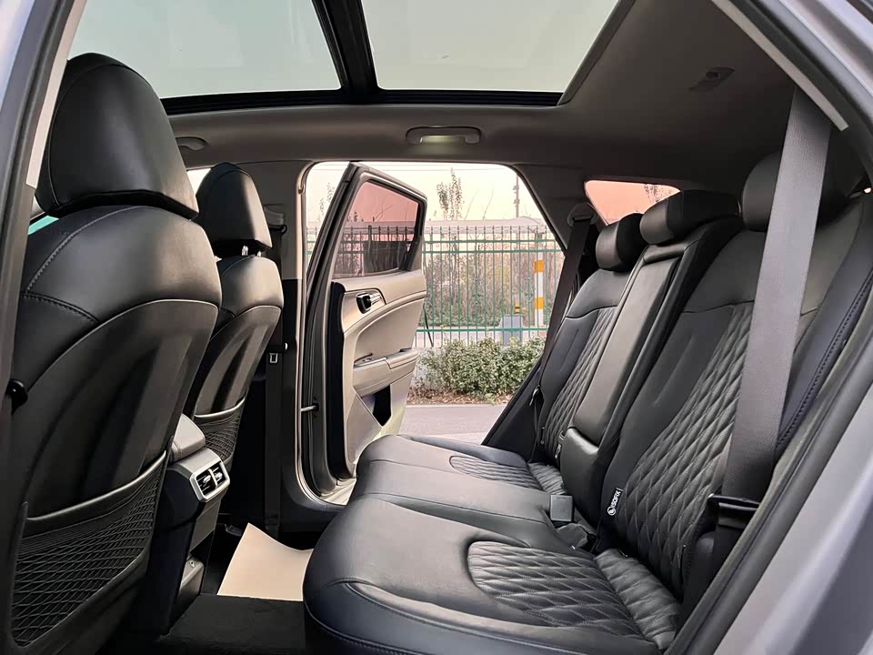 Kia Lion Platinum expands the world