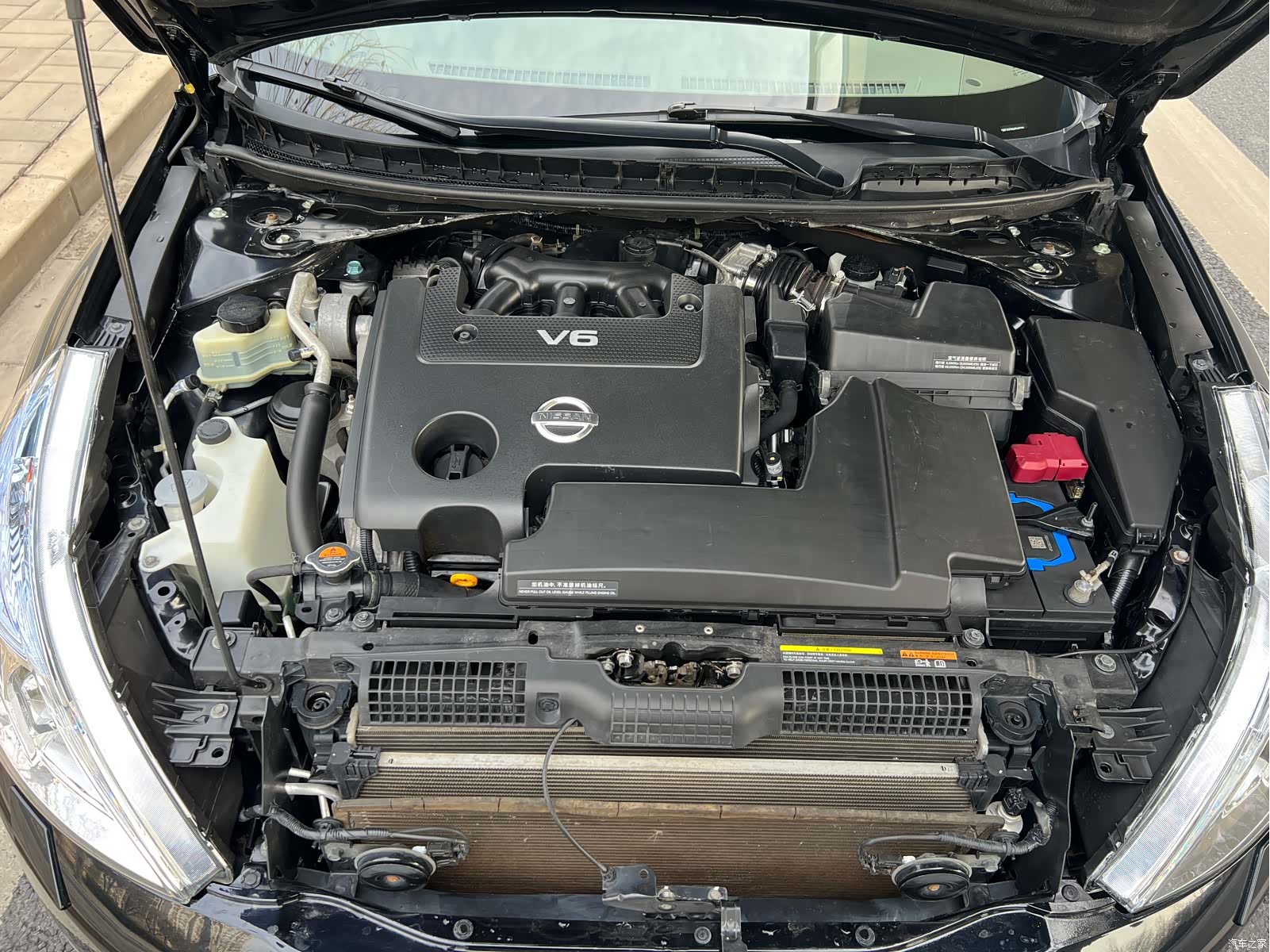 Nissan Teana, 2010 20