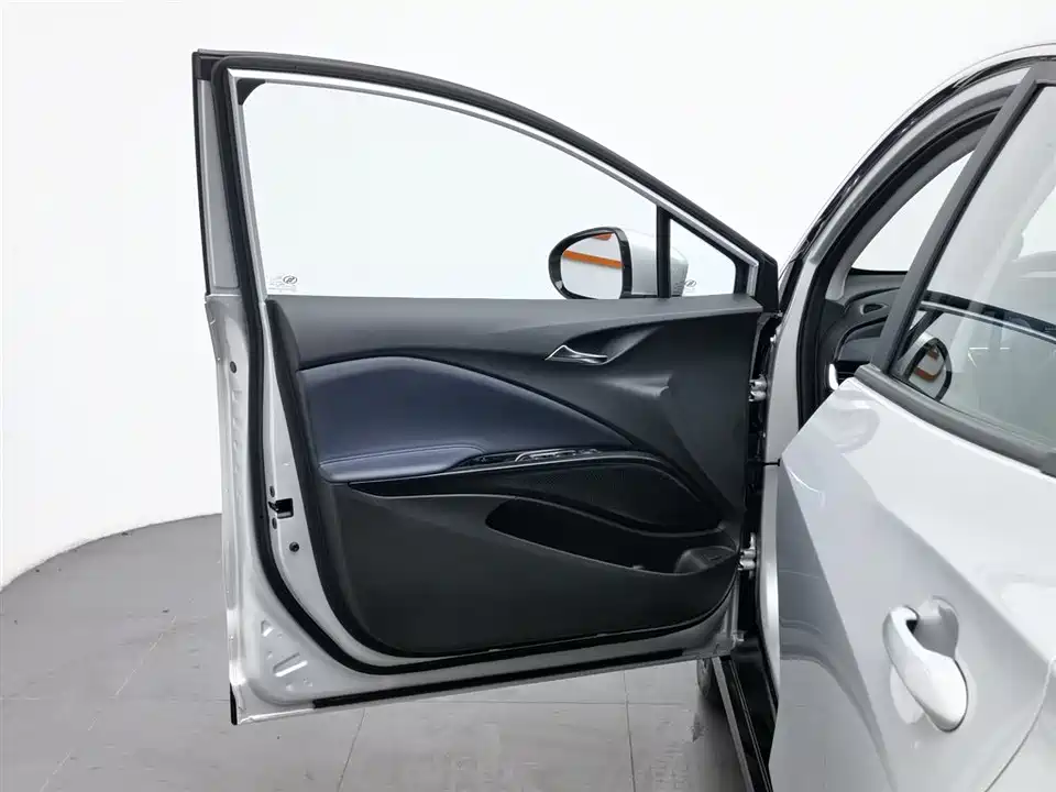 Buick Slightly blue 6