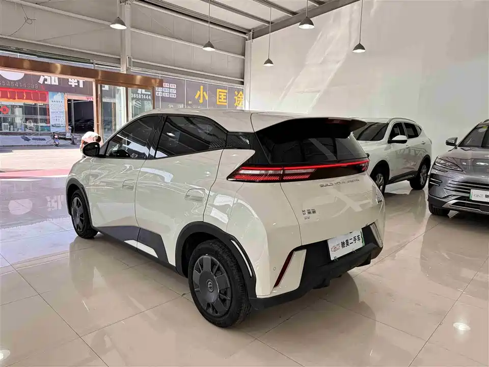 BYD Seagull
