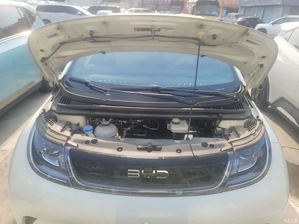BYD Dolphin, 2024 16