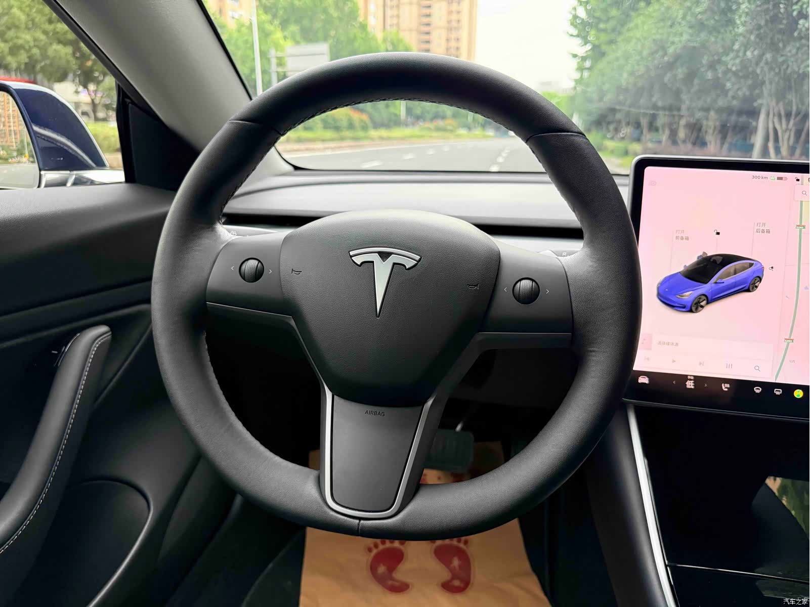 Tesla Model 3, 2019 14
