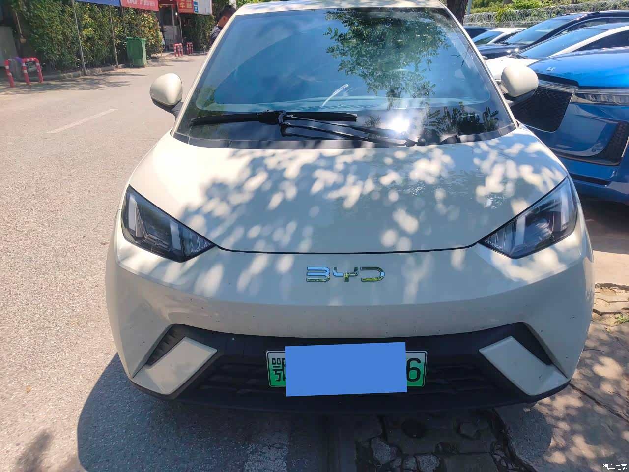 BYD Seagull, 2024 2