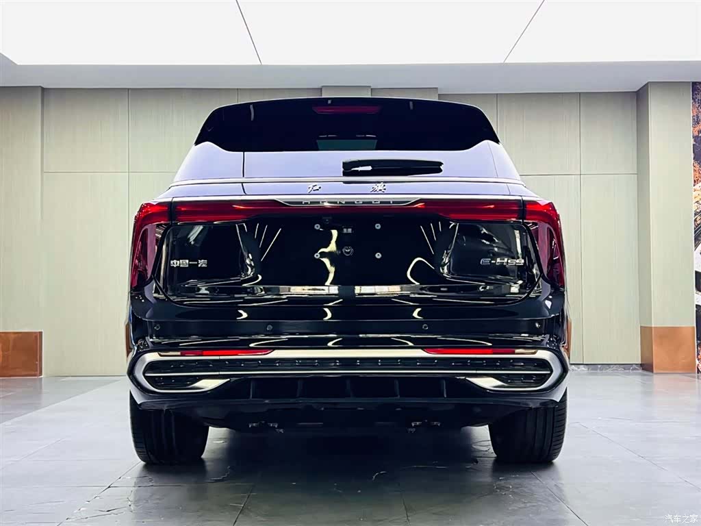 Hongqi E-HS9, 2023 все фото