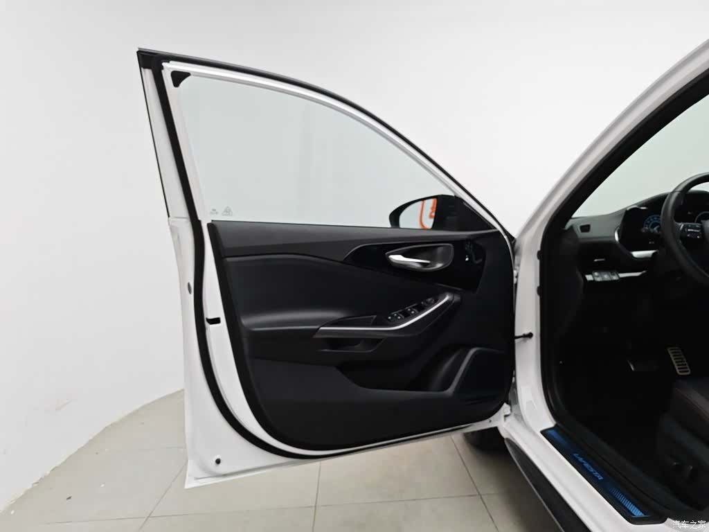 Hyundai Lafesta, 2024 8
