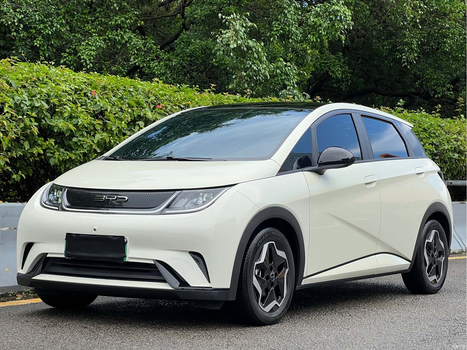 BYD Dolphin, 2022 1