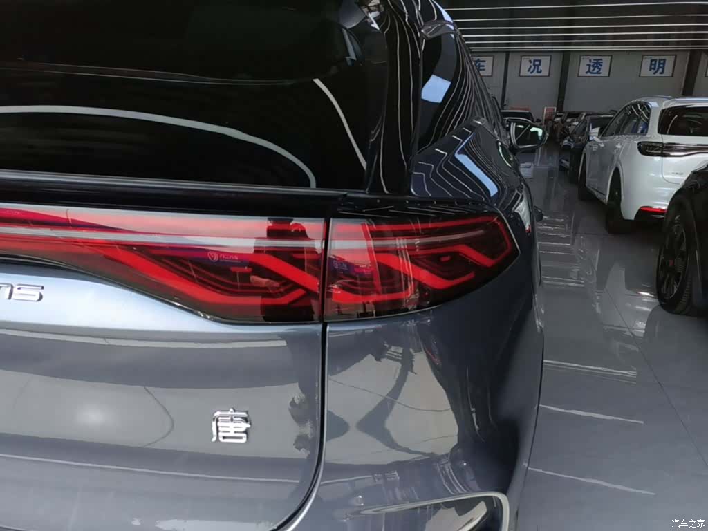 BYD Tang, 2024 8