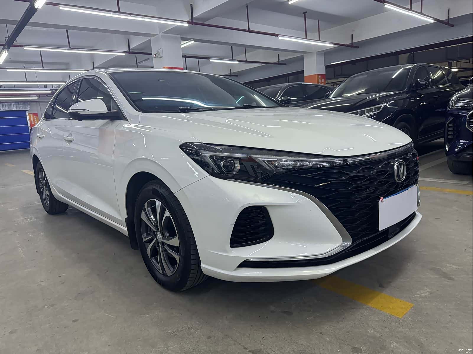Changan Eado, 2022 3