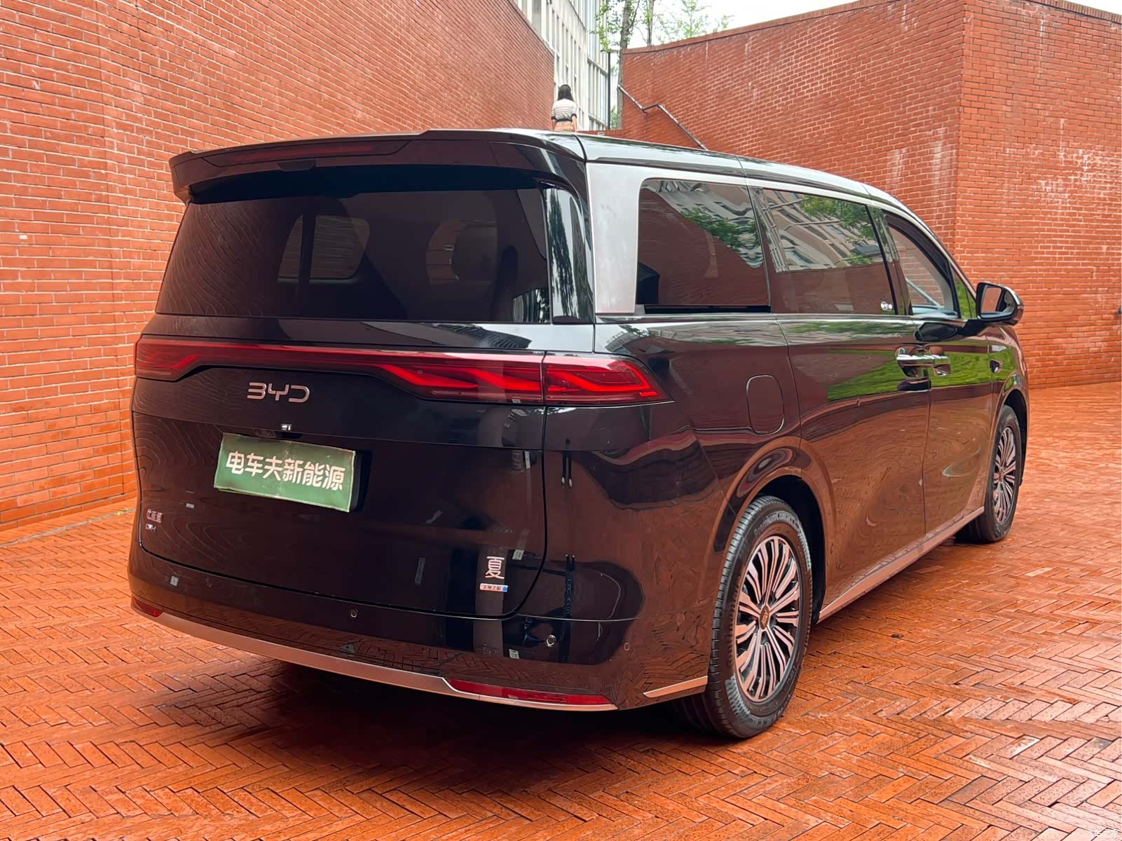 BYD Xia, 2025 все фото