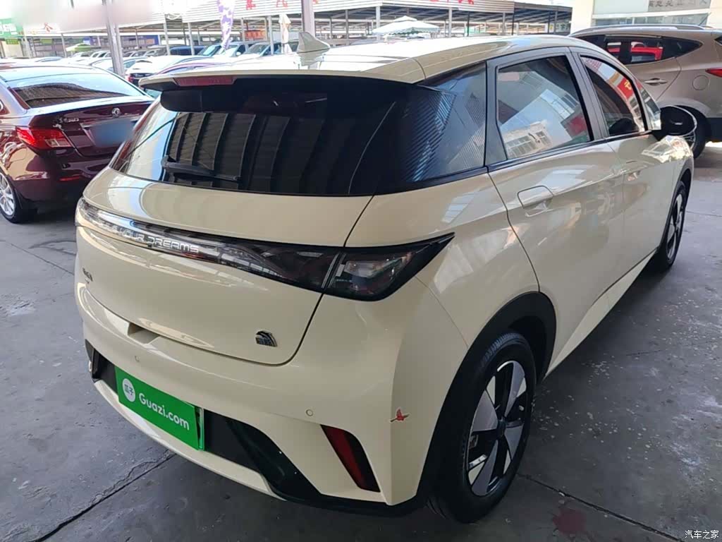 BYD Dolphin, 2024 7
