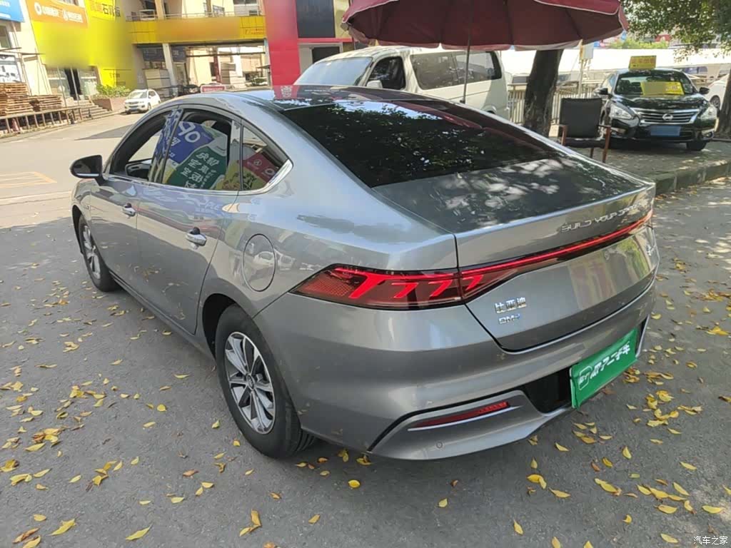BYD Qin, 2024 все фото