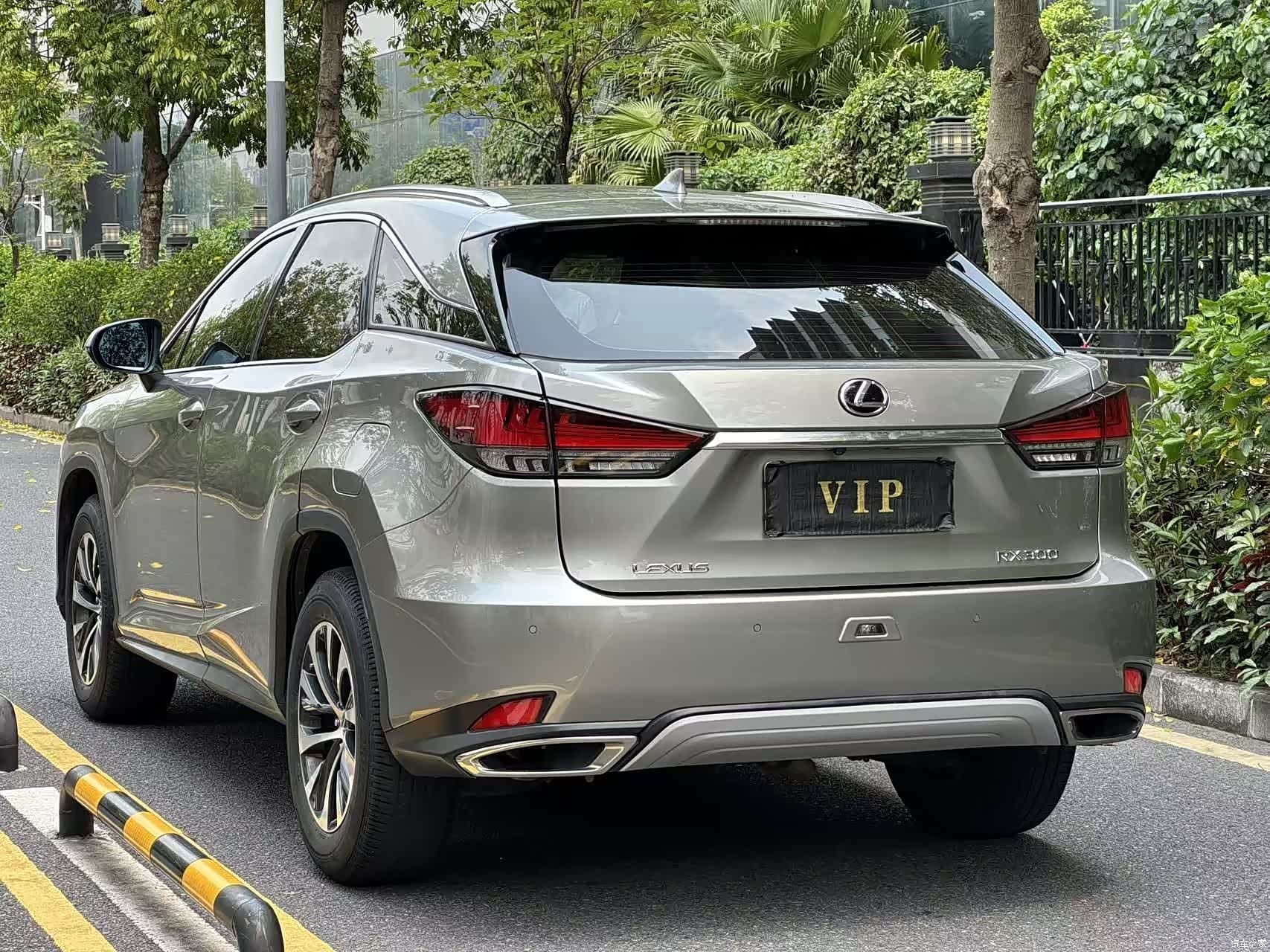 Lexus RX, 2021 10