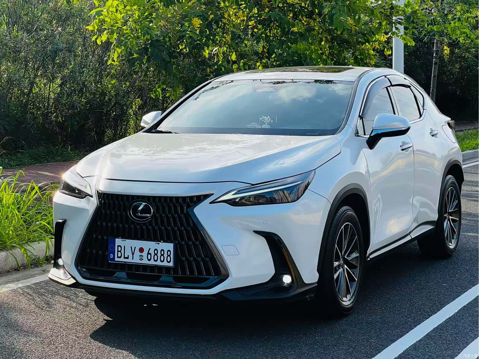 Lexus NX, 2024 1