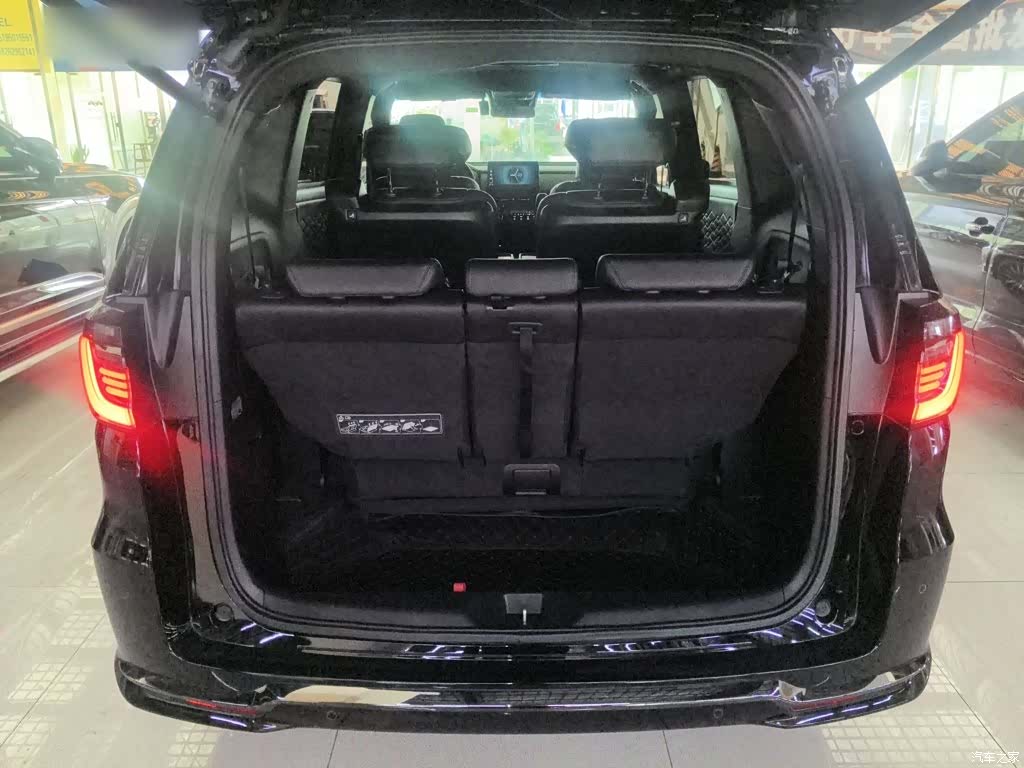Honda Elysion, 2024 9