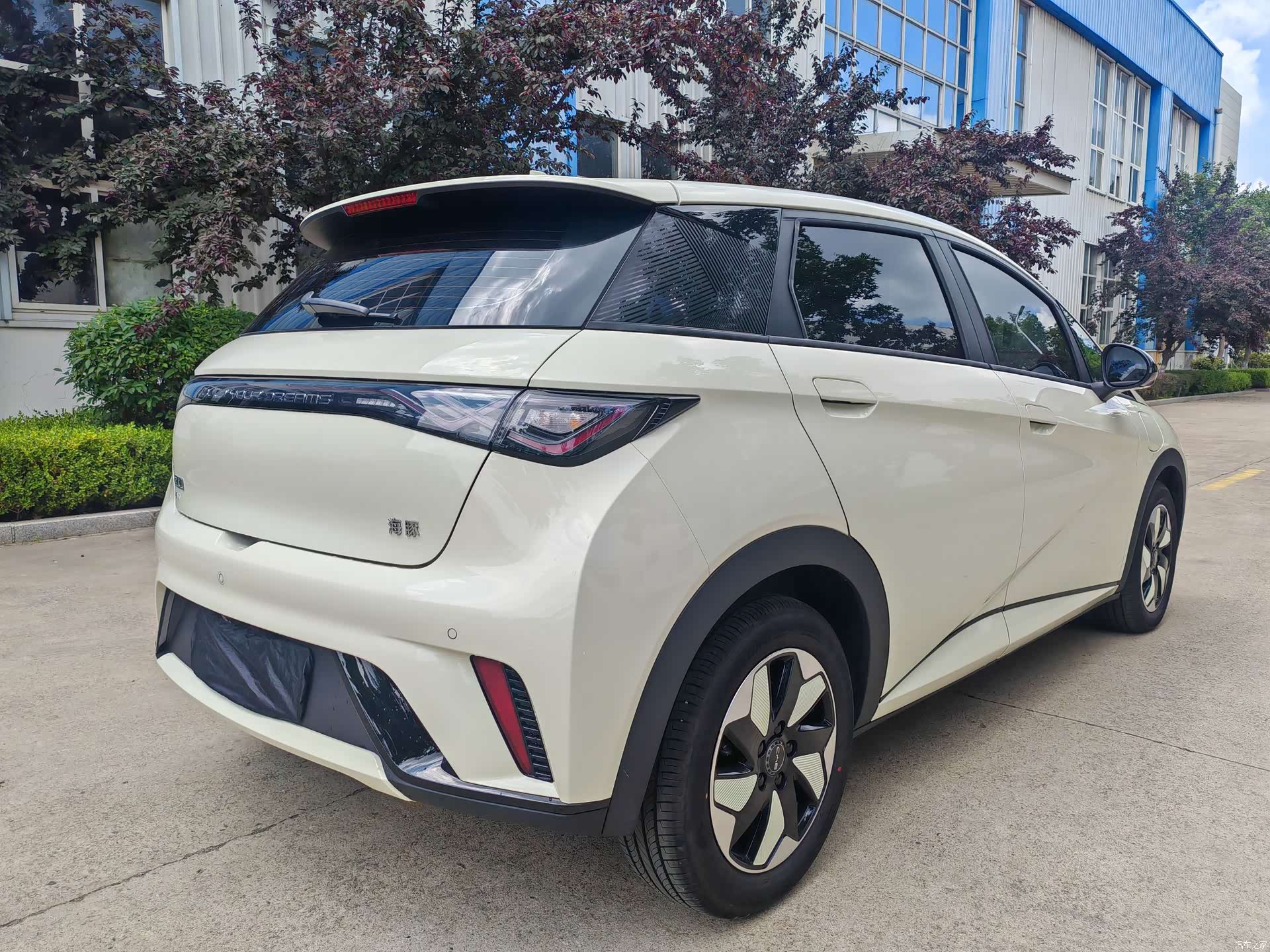 BYD Dolphin, 2026 все фото