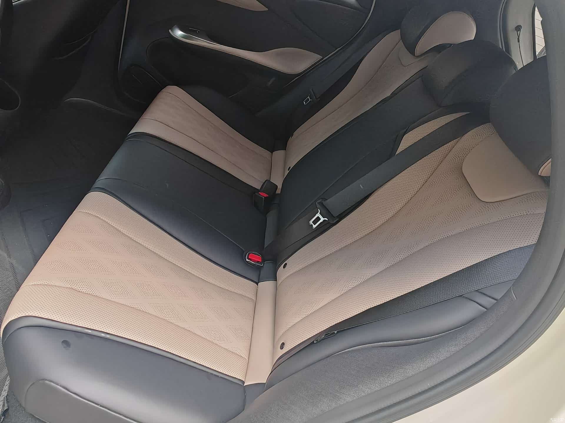 BYD Dolphin, 2026 13