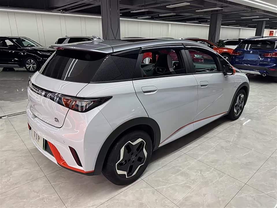 BYD dolphin
