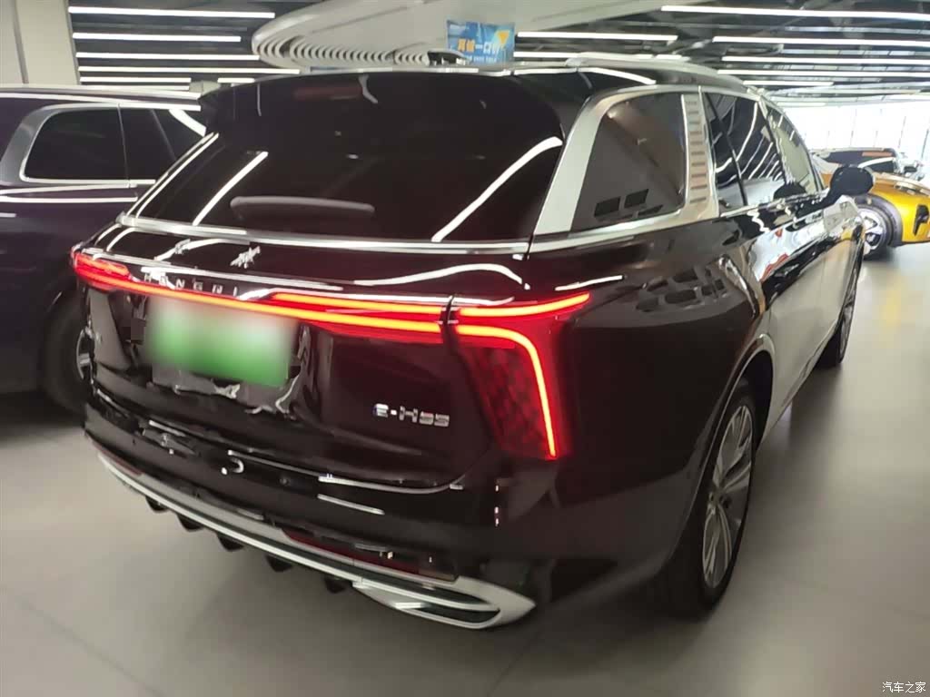 Hongqi E-HS9, 2023 7