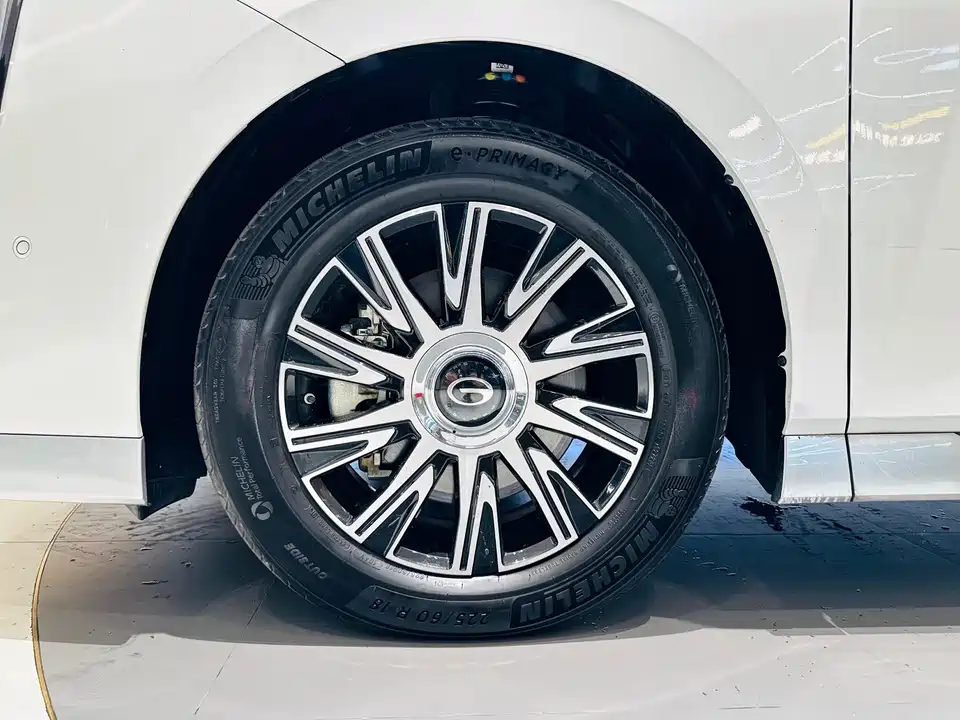 Trumpchi Trumpchi E9