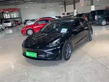 Model 3 2021 ׼