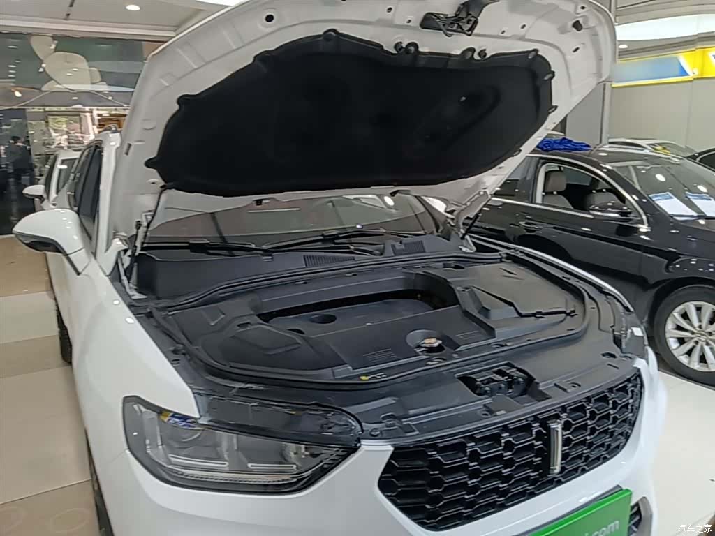 WEY VV5, 2018 20