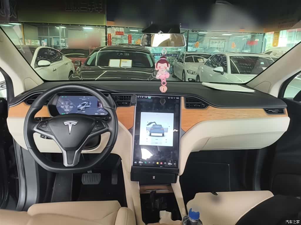 Tesla Model X, 2019 10