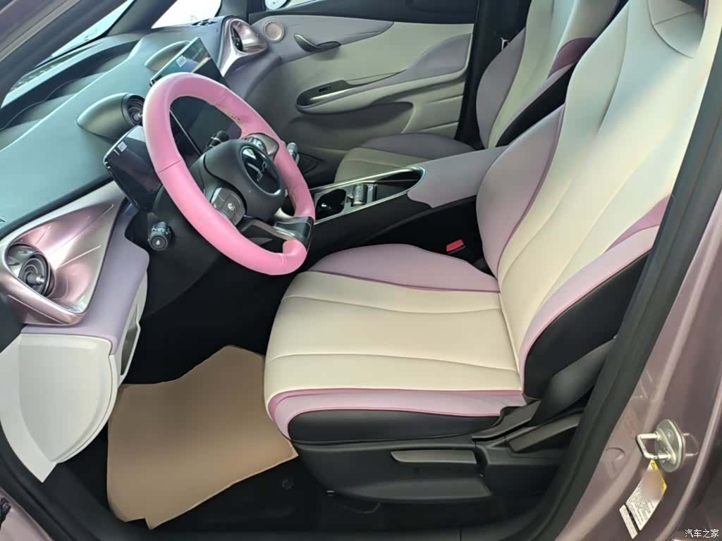 BYD Dolphin, 2022 15