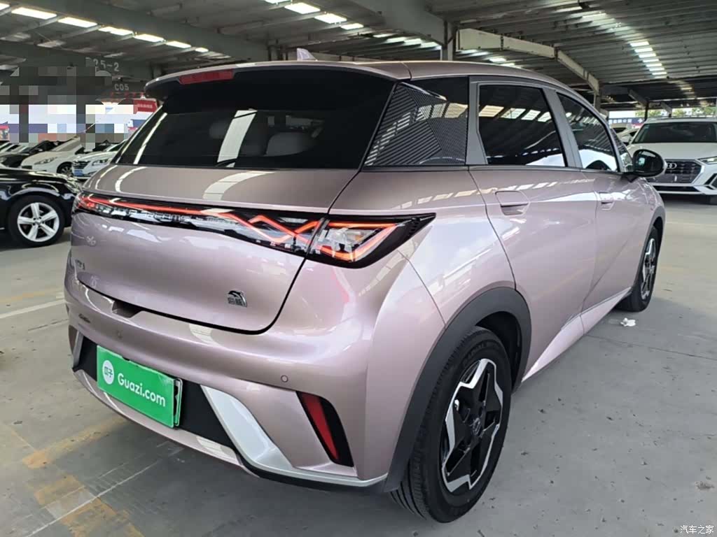 BYD Dolphin, 2022 7