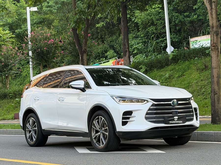 BYD Tang New Energy 2020, фото 3